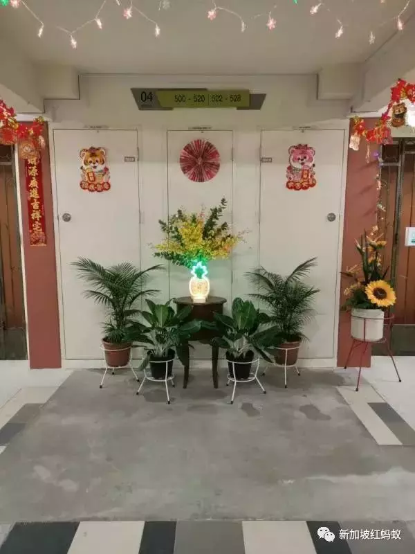 獅城春節氛圍最濃厚的，就是這些裝飾得很喜慶的組屋走廊