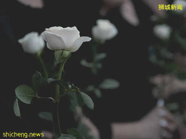 可怕!新加坡一女子殺死8歲親生女兒!女孩身上多處刀傷