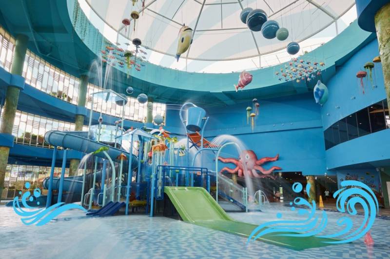 清涼一夏,新加坡水上遊樂園大合集!大人小孩都喜歡的解暑聖地,穿上泳衣玩得盡興