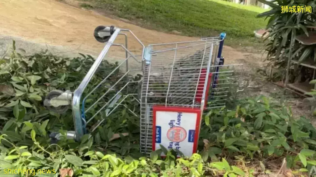 新加坡的超市推車爲啥躺在草叢裏?亂象不止就要報警啦