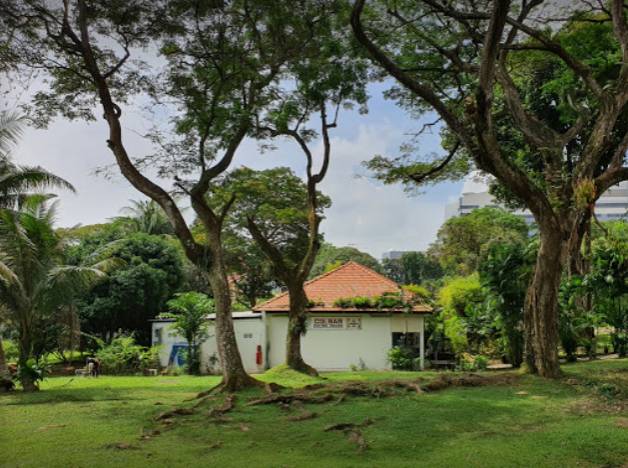 爆赞!新加坡10条最美巴士线路,花最少的钱玩遍全岛