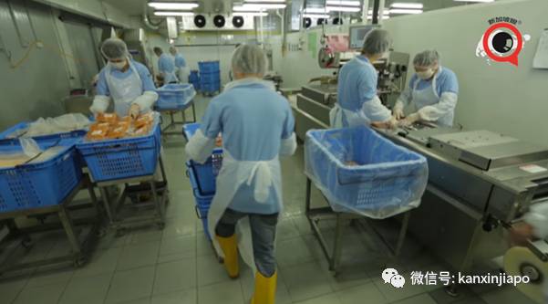 新增食品厂感染群，3位中国籍客工确诊