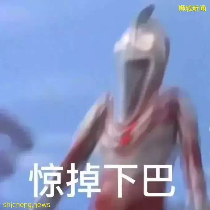 新加坡30件“合法但有病”的事！哈哈哈哈哈