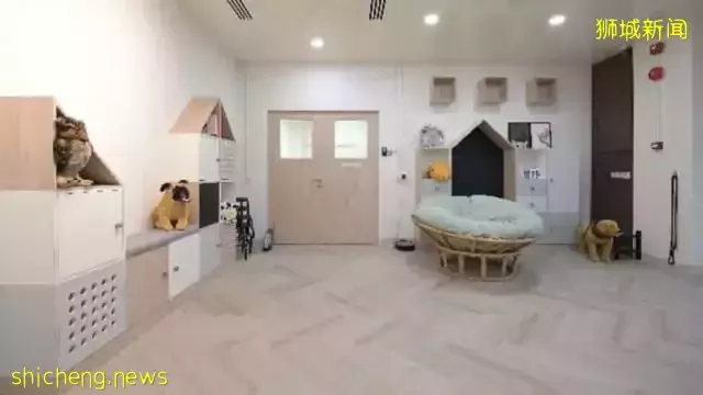 本地第一家动物康复中心 昨天正式开幕