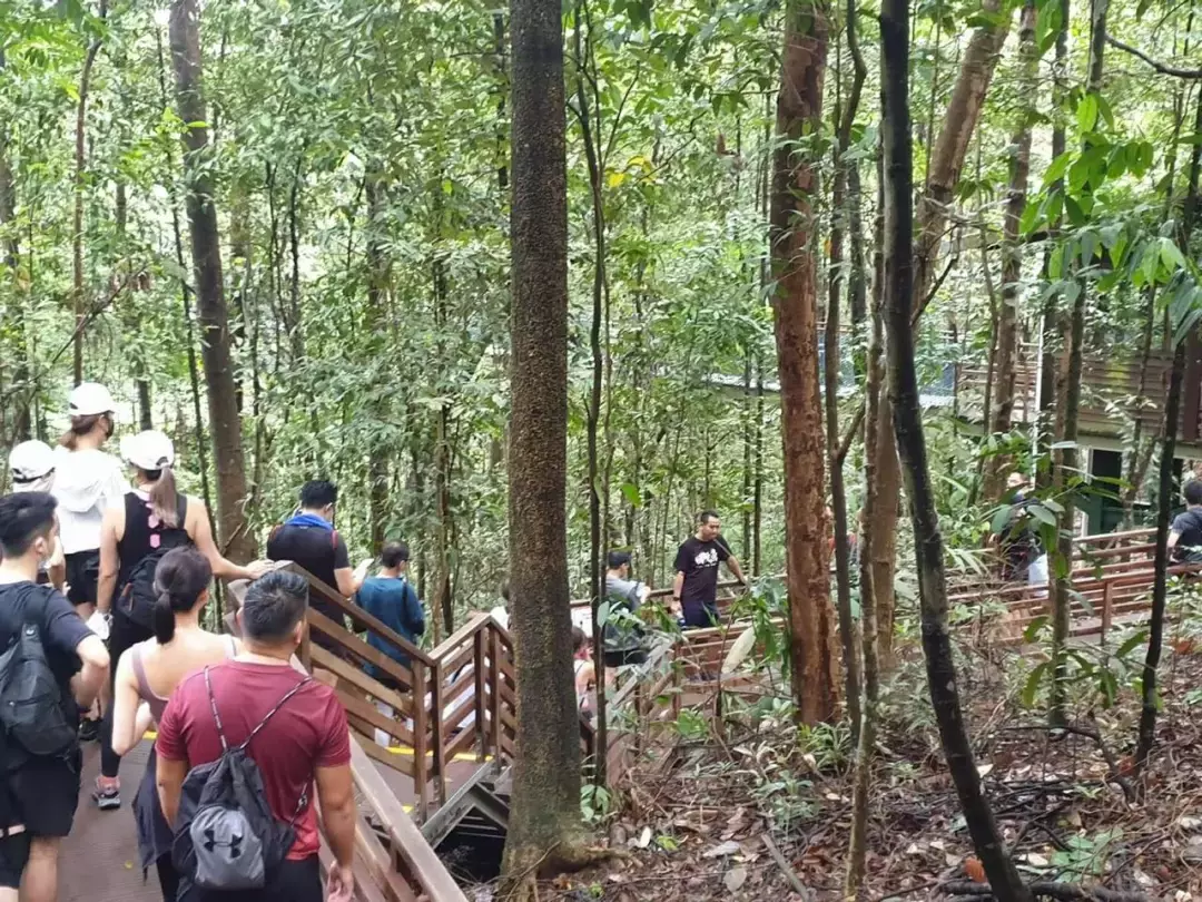 新加坡人深夜排队，翻新一年多的网红景点又开了