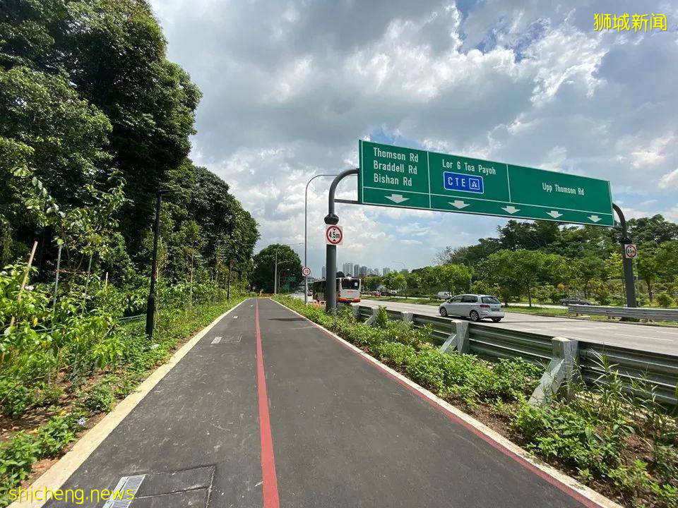 新加坡超火徒步路线!树梢吊桥、水映花树、长尾猴、松鼠、巨蜥,太美了