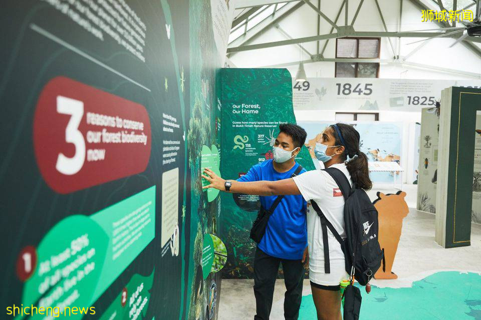 遛娃!徒步!燃烧卡路里~这个新加坡宝藏公园,翻新后更好玩