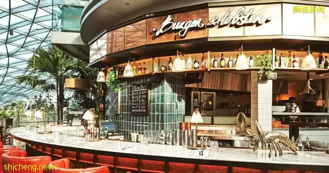 “我最爱的新加坡龙虾餐厅塌房了…”17人食物中毒,4人住院