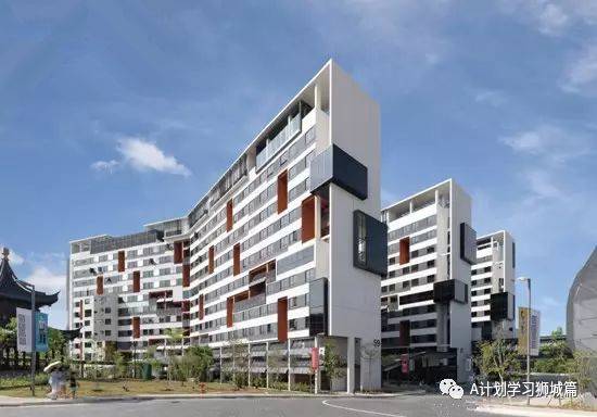 新加坡科技与设计大学学年学历（AY2019/2020）