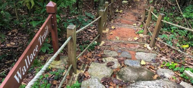 13個新加坡最好玩的公園！野餐，徒步，釣蝦，捕螃蟹