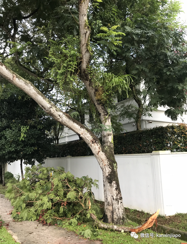 世界末日既视感，磅礴大雨似海啸来袭！新加坡昨4小时降了半个月的雨量