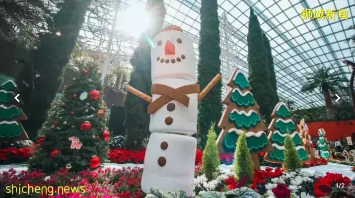 【周末去哪】新加坡環球影城下雪啦!水上樂園開放、室內卡丁車、點心火鍋、女裝1折、美妝2折