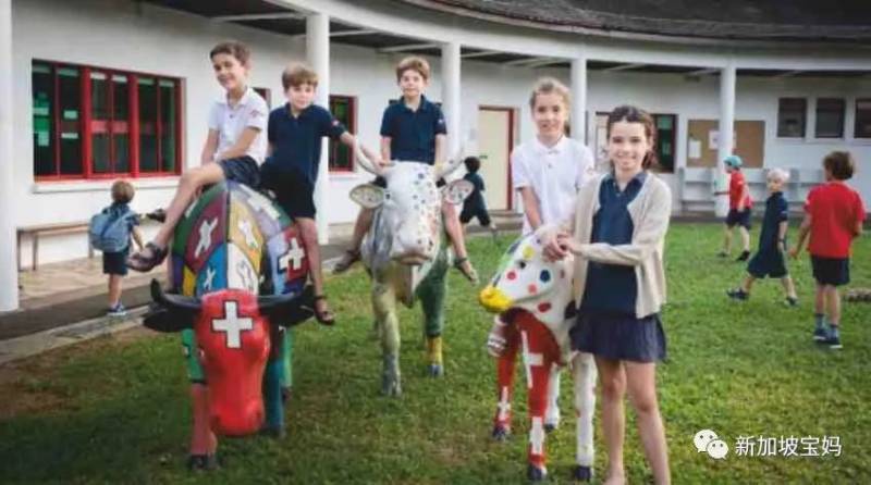 什么?新加坡还有这么便宜的国际学校