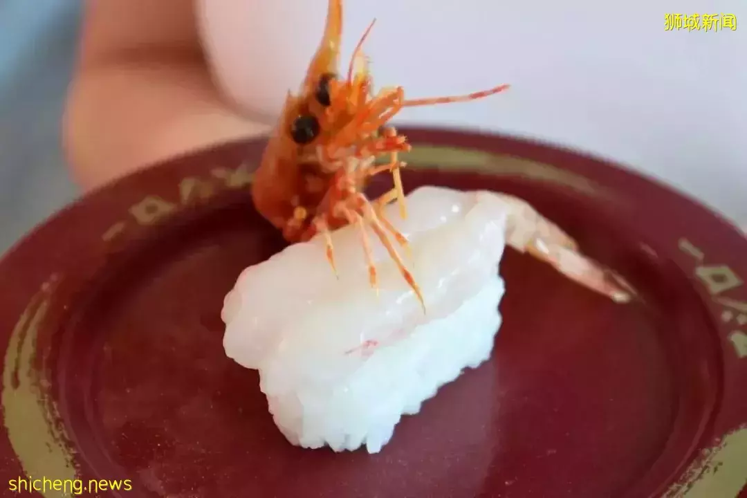 低至$2.2!新加坡平价寿司店推出春季限定,海胆寿司、萤火鱿、明太子芝士