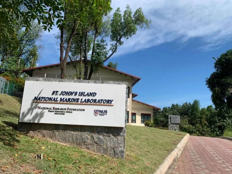 【攻略】$15跳島遊 1天帶你玩轉新加坡南部島嶼