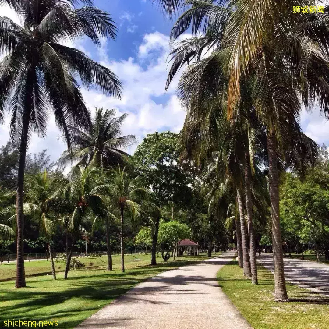 活得不像住在新加坡!新加坡东海岸居住环境的优势