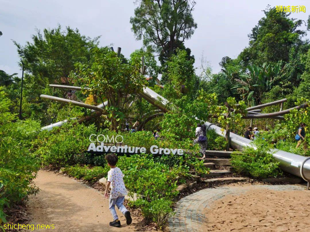 叢林遊樂場、自然博物館、山路徒步……新加坡這個公園翻新後更好玩啦