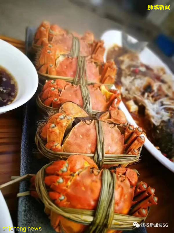 大閘蟹的季節到啦~歡呼吧