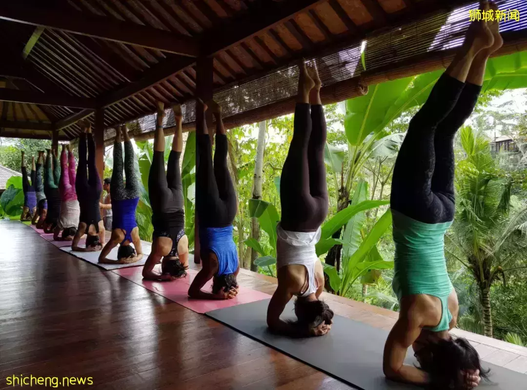 新加坡男瑜伽教練被曝“鹹豬手”，更多受害者浮出水面