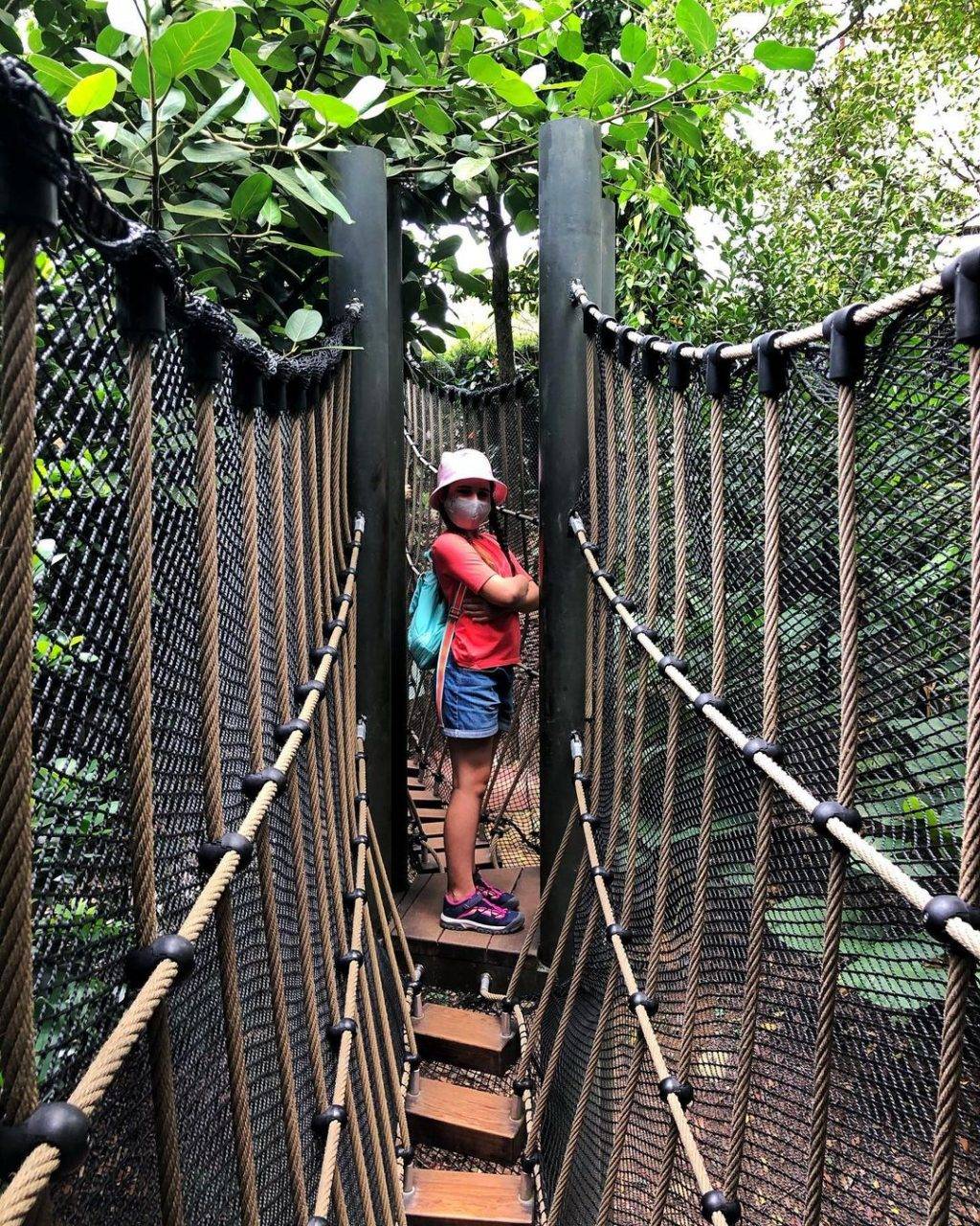 快樂天堂✨ 全亞洲最大兒童花園！花園城市裏的一片綠洲🌳 吊橋、樹屋、空中漫步，周末撒野去