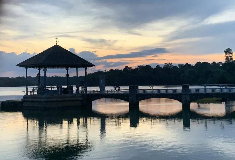 新加坡雖小，風景卻不少，這些自然公園你聽過嗎