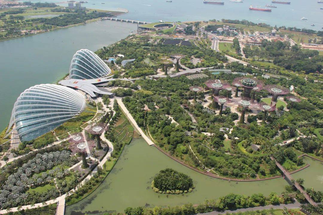 新加坡 了解點滴文化，融入當地生活