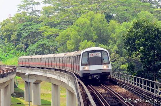 在新加坡不能做的六件事