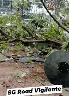 雨後，新加坡發生慘烈車禍！4歲女孩站路邊被撞傷