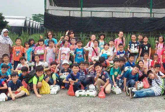 種水稻，摘蘑菇，新鮮蘆荟飲品！藏在新加坡的7大蔬菜農場我找到啦