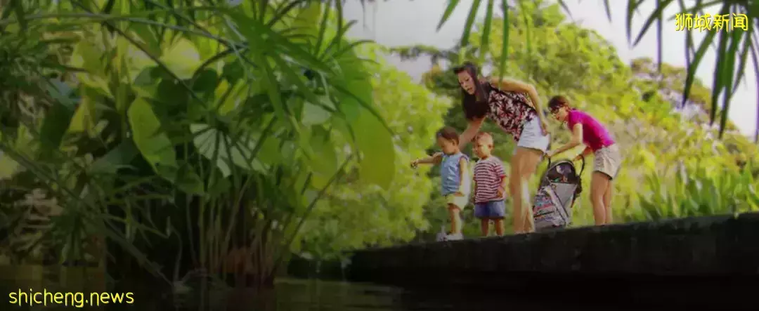 新加坡【D11區】中央核心CBD紐頓永久地契新公寓 10 evelyn【頂級名校學區房】