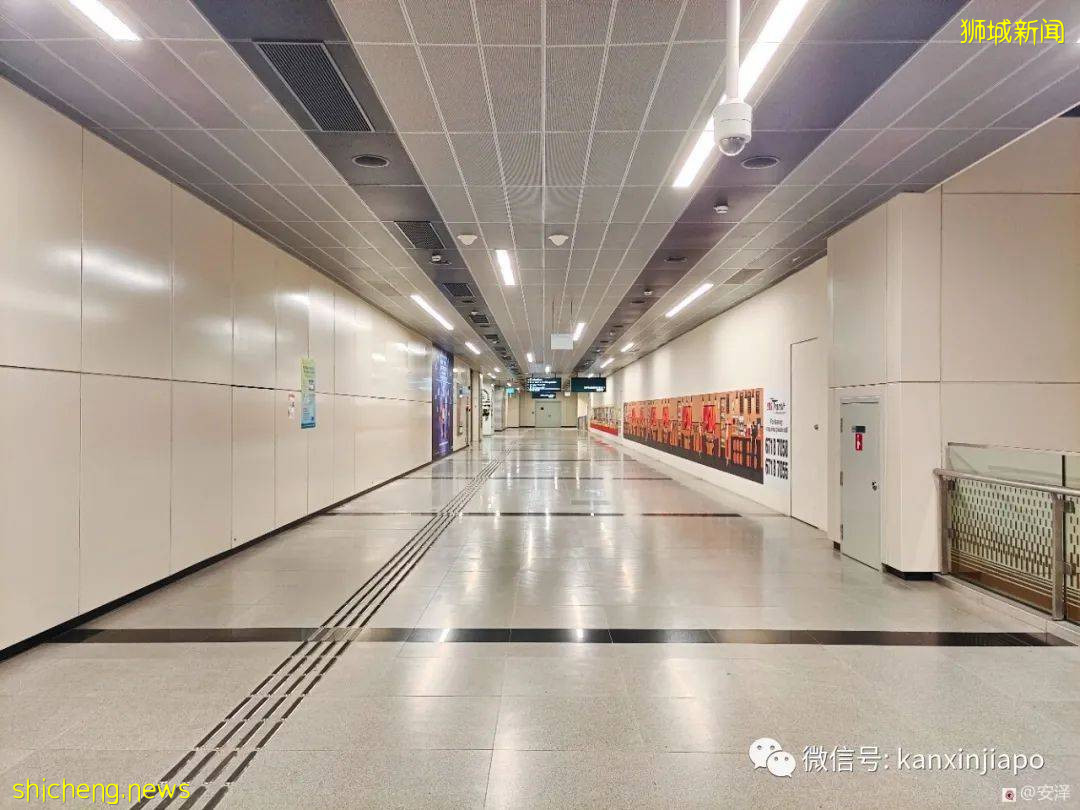 “我以为疫情期间的新加坡是这样的，可实际却是这样的......”