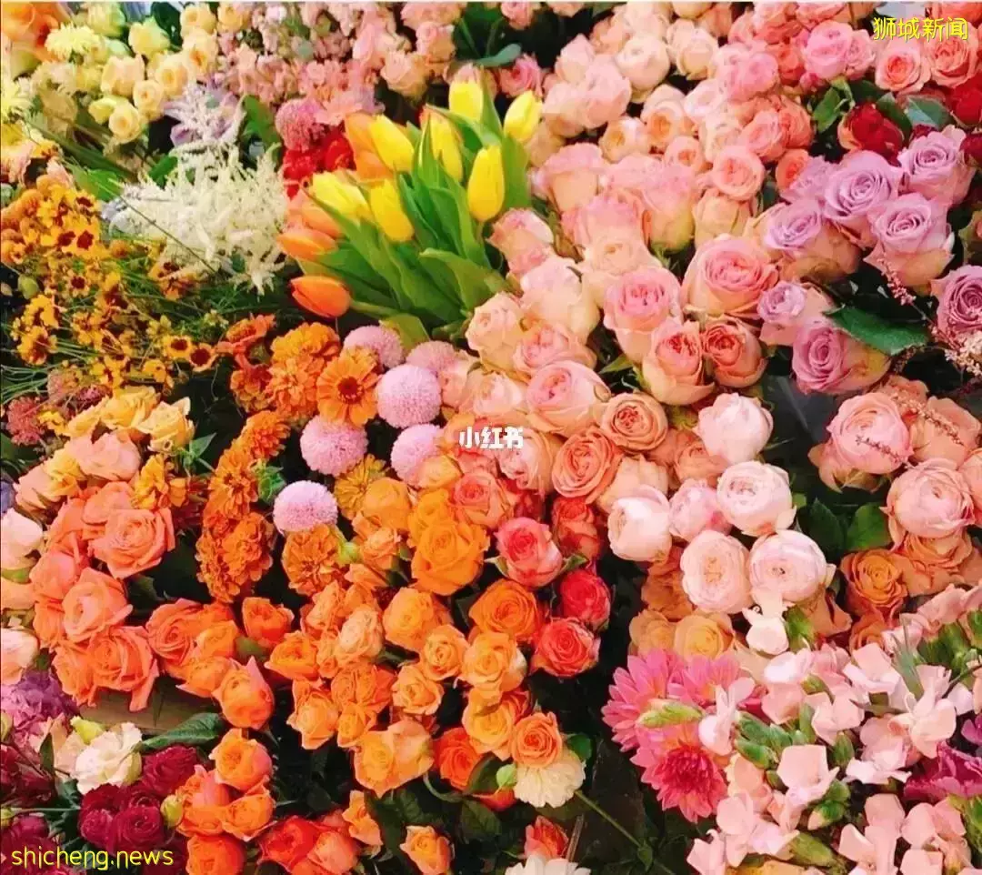 “坡式新年”今年春節,我在新加坡