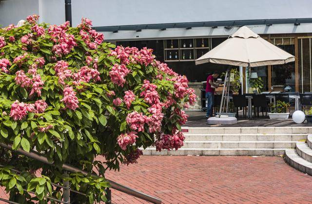 观赏新加坡夜景的绝佳地,夜色中的克拉码头