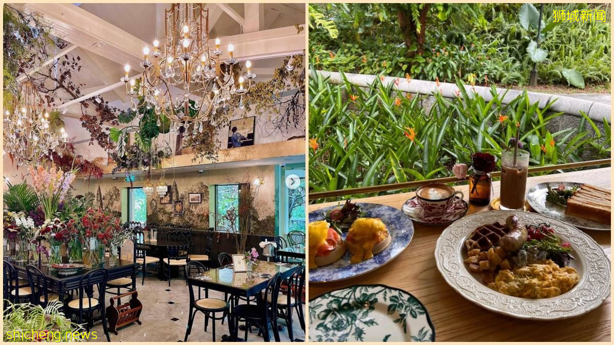 打卡新点一秒飞🛬巴黎, 在花园餐厅用餐喝咖啡