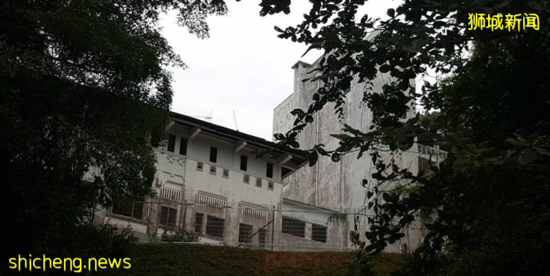 膽小慎入！新加坡老炮兒才知道的“都市夜傳說”