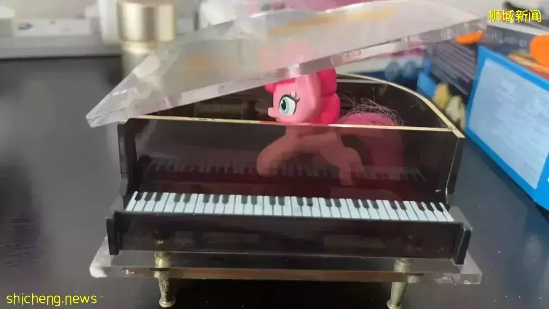 隐身6年、半夜做饭、家有两个老婆......我的新加坡邻居们的神奇故事