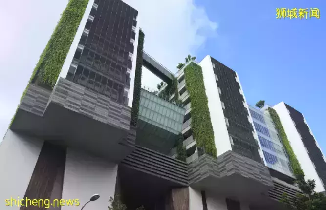 再創佳績！2012新加坡“新空下”歌謠比賽，新加坡藝術學院學生代表奪冠