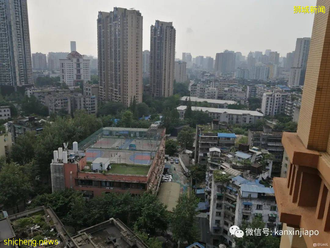 往返新加坡一成都一北京全记录!“回国不足6周,时间特别不够用”