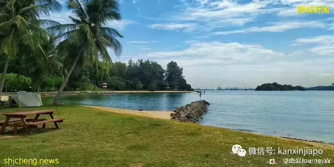 新加坡离岛攻略,半个多小时便能收获美景天堂