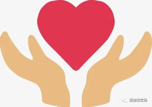 除了陪玩,你還應該在新加坡陪孩子做點有意義的事兒