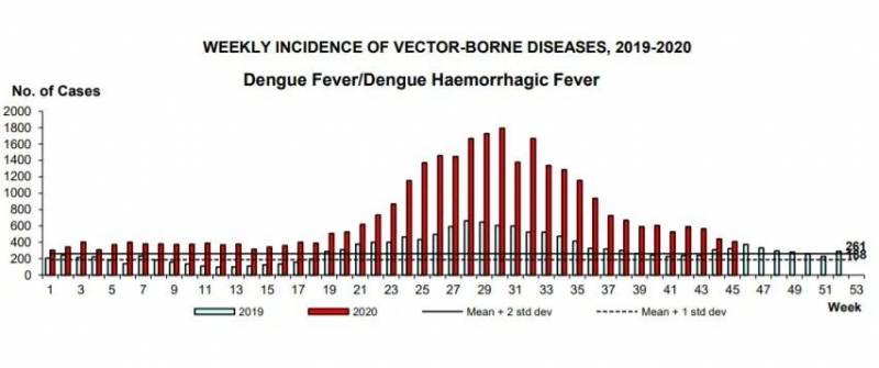 恐怖!新加坡今年登革热死亡人数已经超过新冠