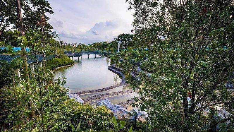 你知道新加坡的“瀑布魅力”麽