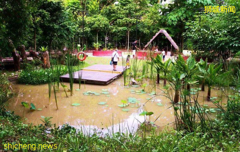 新加坡的娃太太太太幸福了！亞洲最大兒童花園，免~費~玩