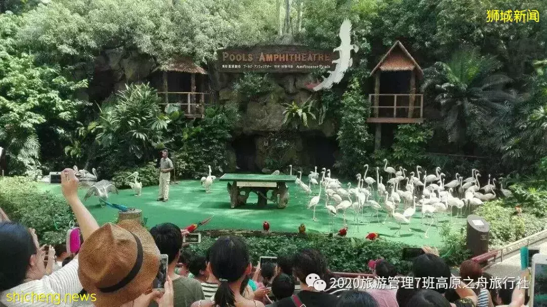 獅城,新加坡帶你浪漫