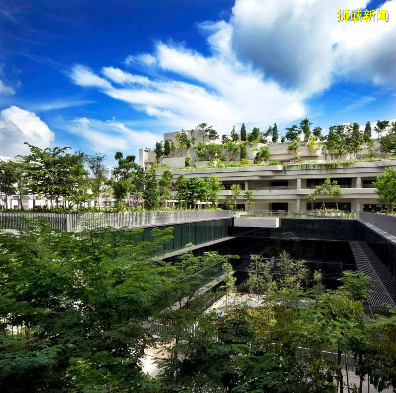 坦克、戰鬥機、傘兵出動!55年了,新加坡終于讓全世界感動哭泣