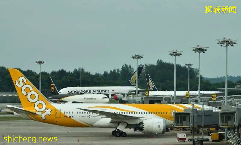 因六名乘客确诊，酷航将暂停新加坡飞郑州航线