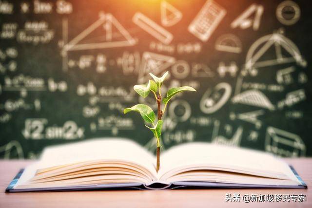 都說新加坡教育制度好，想了解新加坡入學和升學途徑的看過來