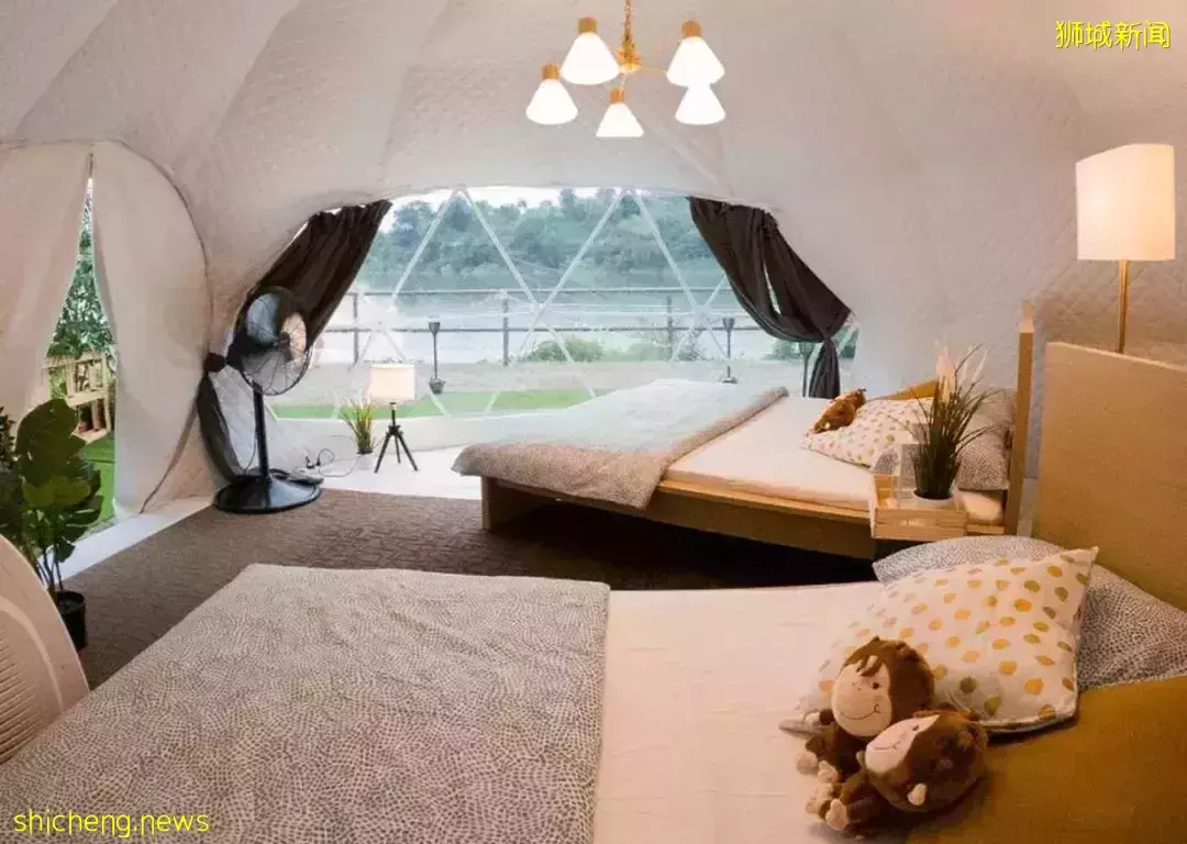 夜宿新加坡动物园!森林小屋用餐、睡圆顶帐篷、动物互动、海牛伴你入眠