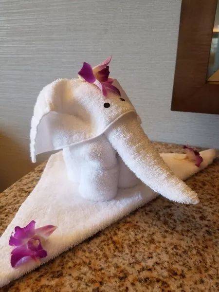 一次说走就走的旅行——新加坡吃喝玩乐三日游