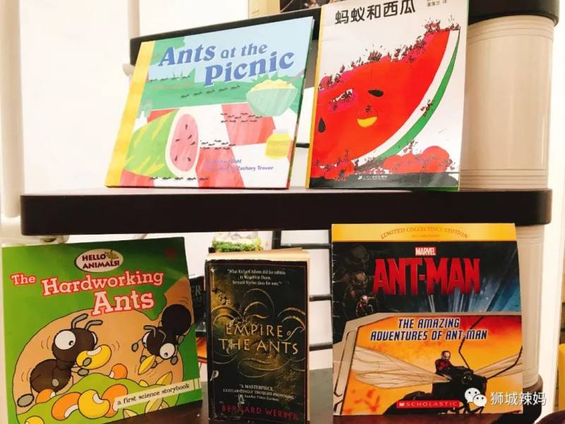 亞洲第一的螞蟻博物館居然在新加坡